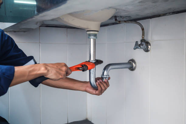 Best Local Plumber Services  in Marana, AZ